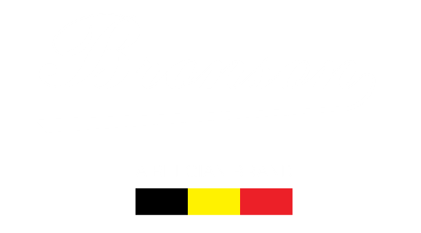 logo bronson